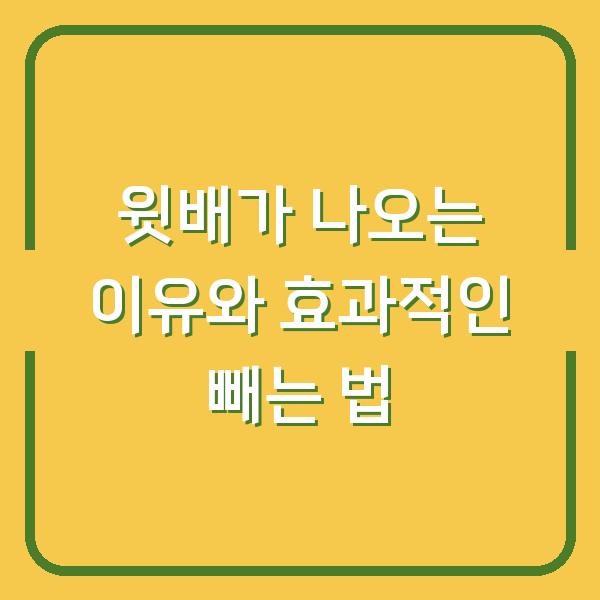 윗배가 나오는 이유와 효과적인 빼는 법