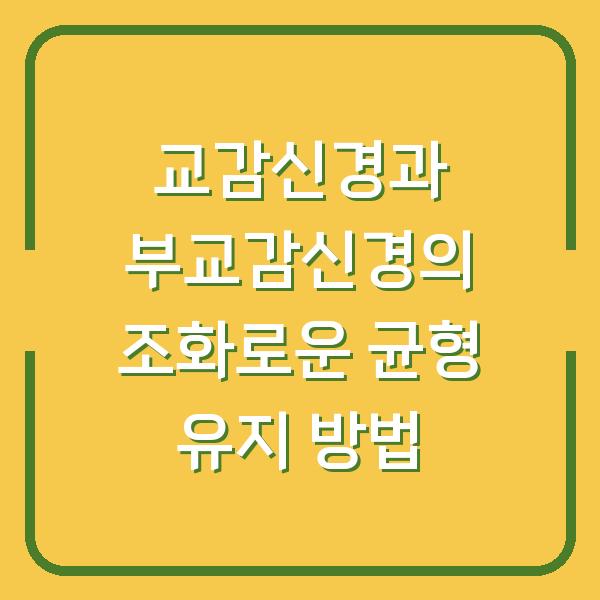 교감신경과 부교감신경의 조화로운 균형 유지 방법