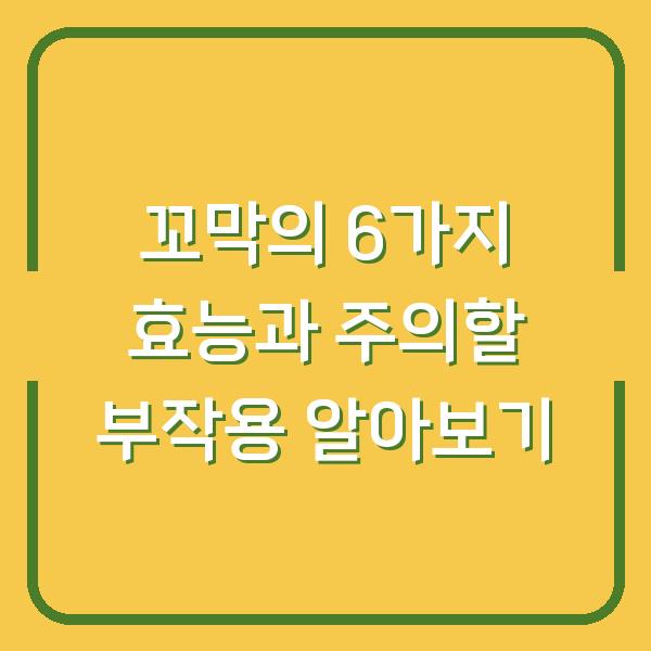 꼬막의 6가지 효능과 주의할 부작용 알아보기