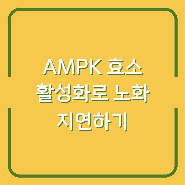 AMPK 효소 활성화로 노화 지연하기