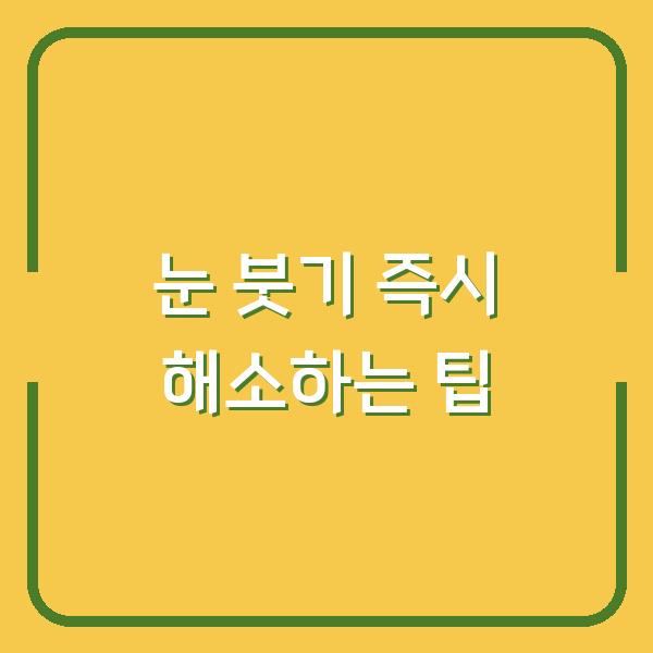 눈 붓기 즉시 해소하는 팁