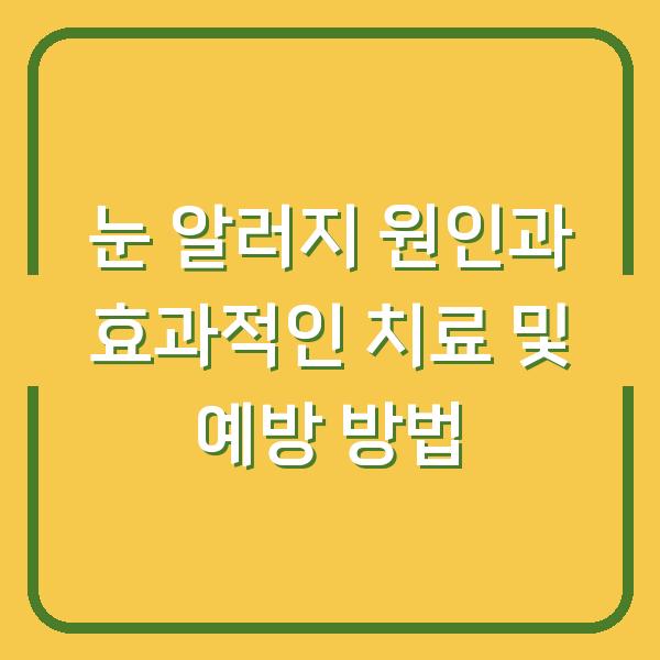 눈 알러지 원인과 효과적인 치료 및 예방 방법