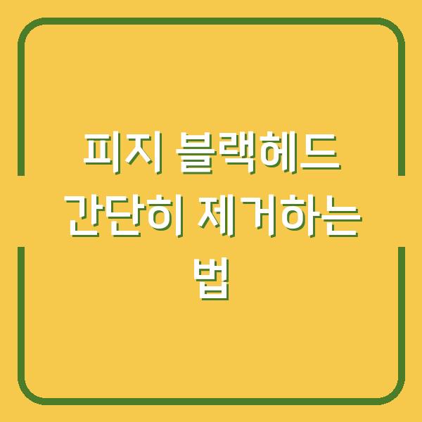 피지 블랙헤드 간단히 제거하는 법