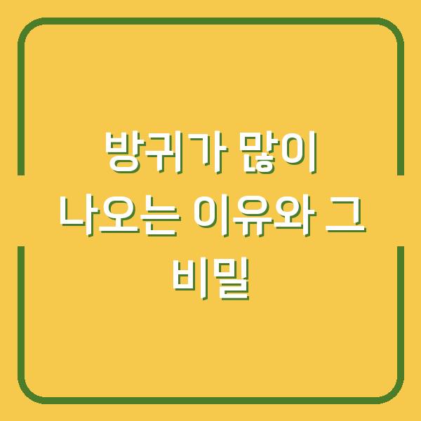 방귀가 많이 나오는 이유와 그 비밀