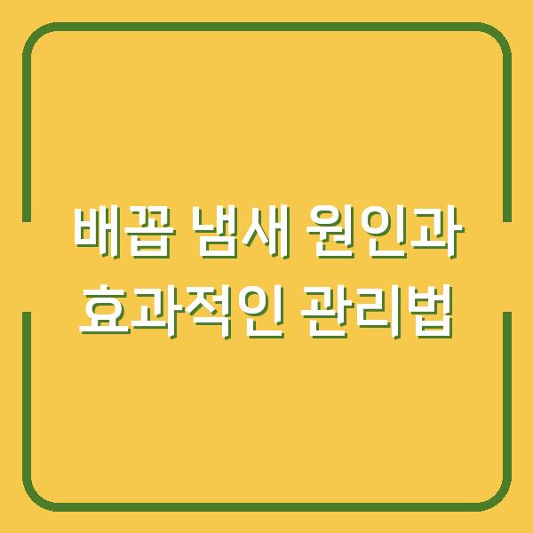 배꼽 냄새 원인과 효과적인 관리법