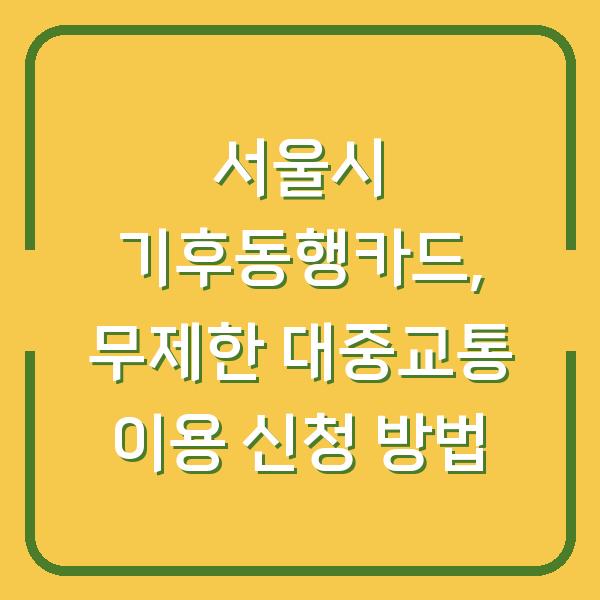 서울시 기후동행카드, 무제한 대중교통 이용 신청 방법