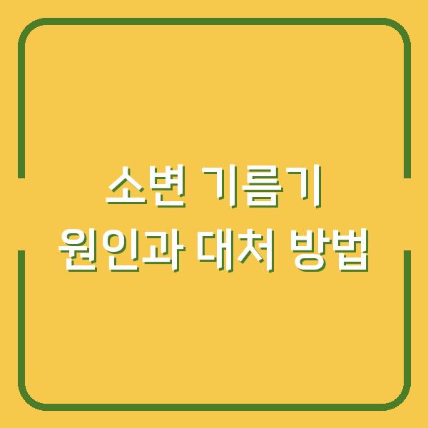 소변 기름기 원인과 대처 방법