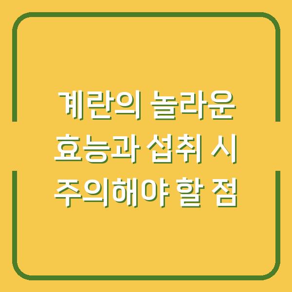 계란의 놀라운 효능과 섭취 시 주의해야 할 점