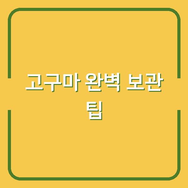 고구마 완벽 보관 팁