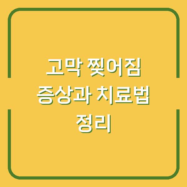 썸네일