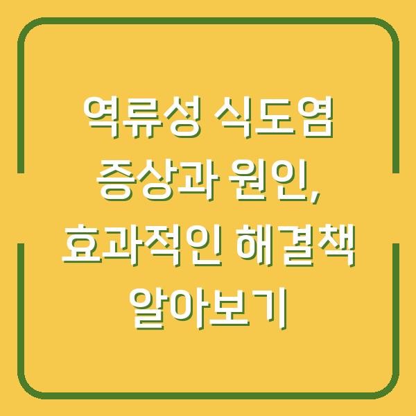 역류성 식도염 증상과 원인, 효과적인 해결책 알아보기