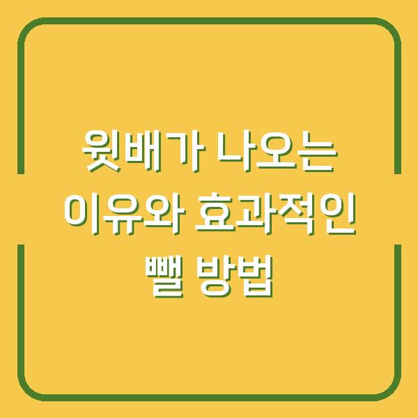 윗배가 나오는 이유와 효과적인 뺄 방법