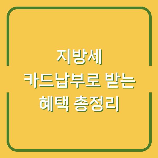 지방세 카드납부로 받는 혜택 총정리