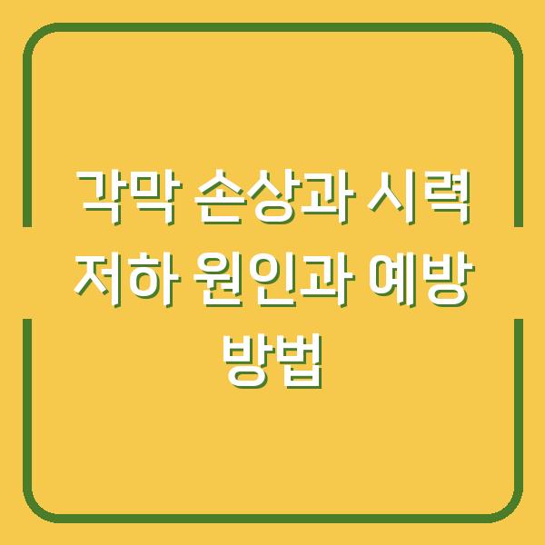 각막 손상과 시력 저하 원인과 예방 방법