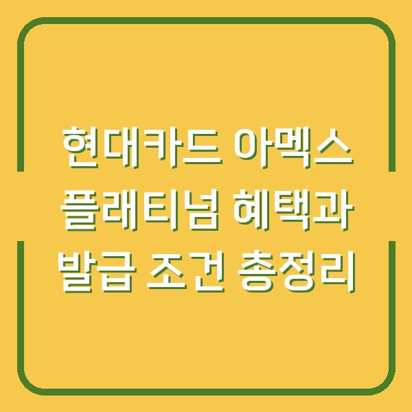 현대카드 아멕스 플래티넘 혜택과 발급 조건 총정리