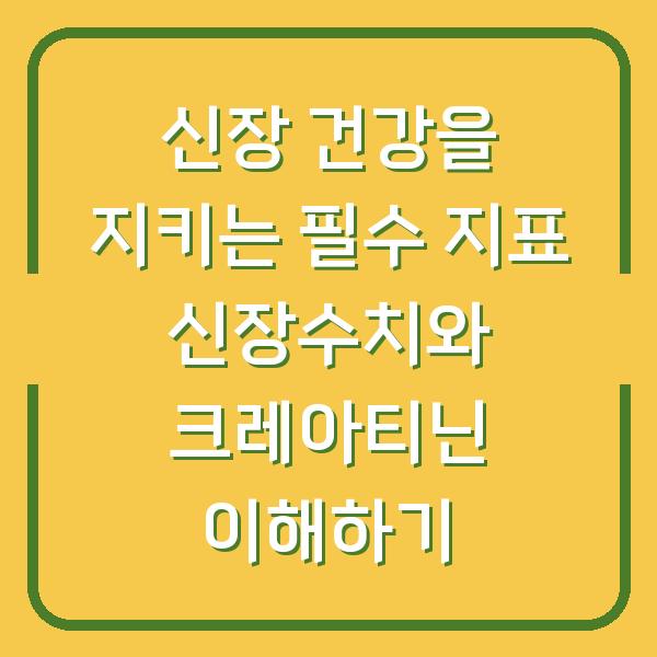 신장 건강을 지키는 필수 지표 신장수치와 크레아티닌 이해하기