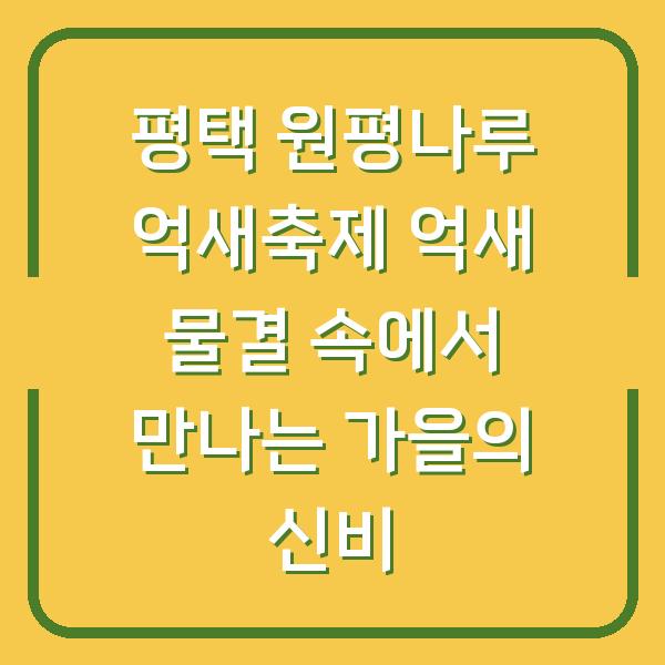 썸네일