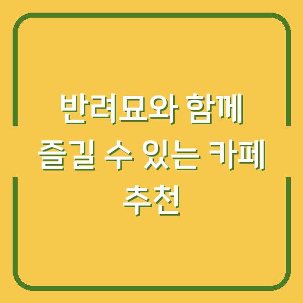 반려묘와 함께 즐길 수 있는 카페 추천