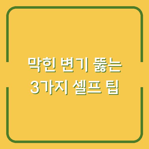 막힌 변기 뚫는 3가지 셀프 팁