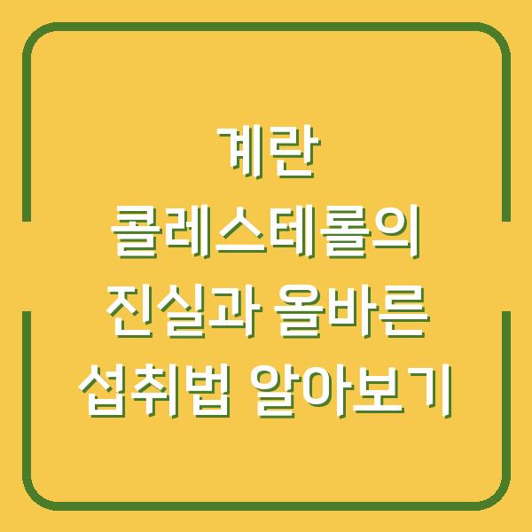 계란 콜레스테롤의 진실과 올바른 섭취법 알아보기