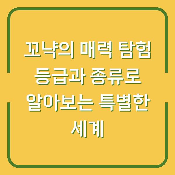 꼬냑의 매력 탐험 등급과 종류로 알아보는 특별한 세계
