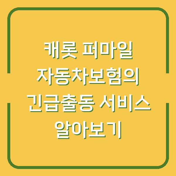 캐롯 퍼마일 자동차보험의 긴급출동 서비스 알아보기