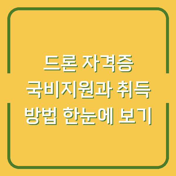 드론 자격증 국비지원과 취득 방법 한눈에 보기