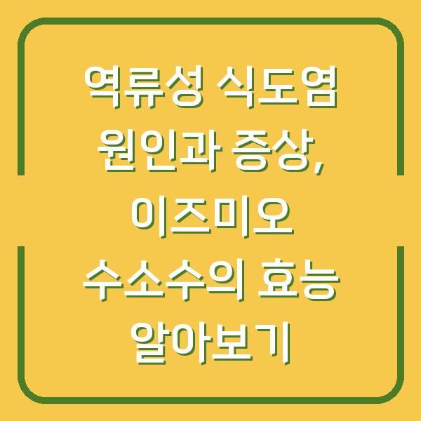 역류성 식도염 원인과 증상, 이즈미오 수소수의 효능 알아보기