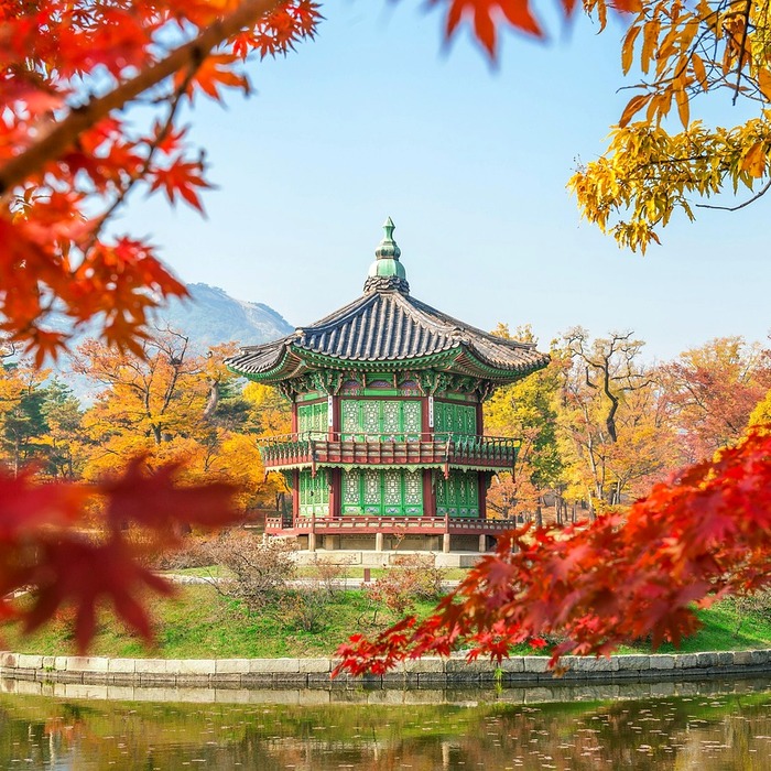 한국 여자 쇼트트랙