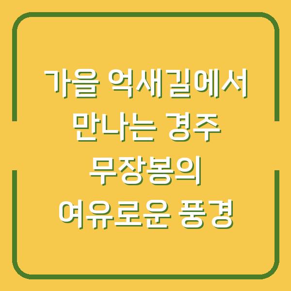 가을 억새길에서 만나는 경주 무장봉의 여유로운 풍경