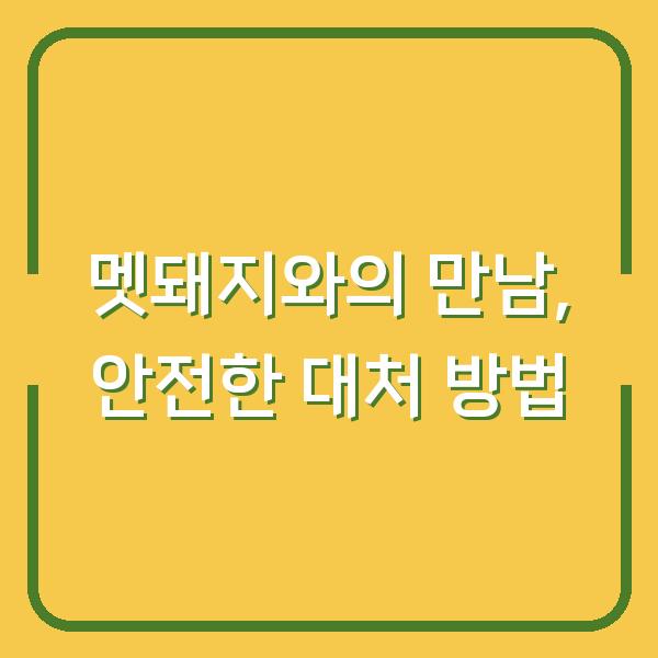멧돼지와의 만남, 안전한 대처 방법