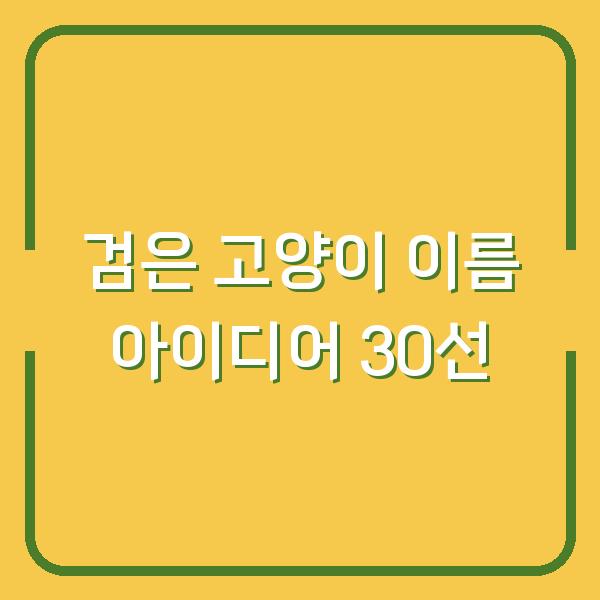 검은 고양이 이름 아이디어 30선