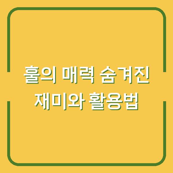 훌의 매력 숨겨진 재미와 활용법