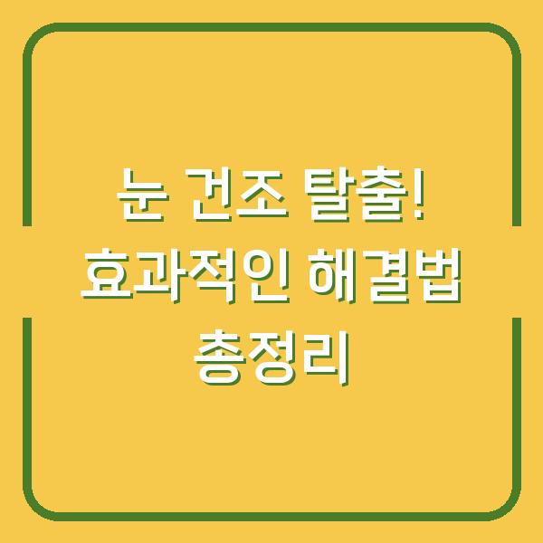 눈 건조 탈출! 효과적인 해결법 총정리