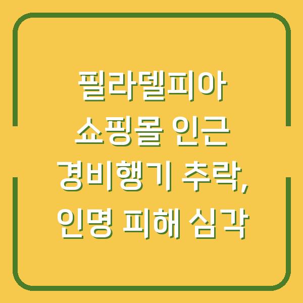필라델피아 쇼핑몰 인근 경비행기 추락, 인명 피해 심각