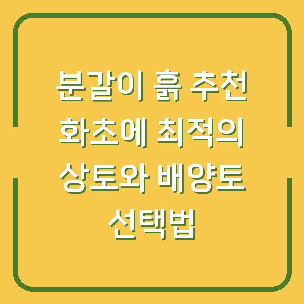 썸네일