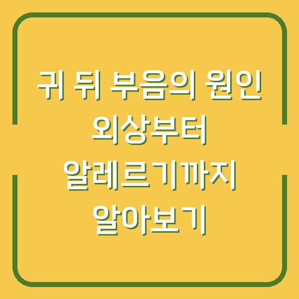귀 뒤 부음의 원인 외상부터 알레르기까지 알아보기
