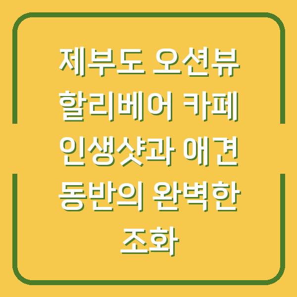 제부도 오션뷰 할리베어 카페 인생샷과 애견 동반의 완벽한 조화