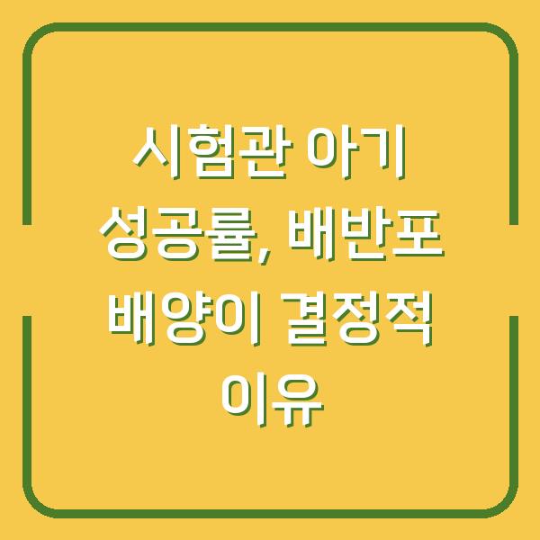 시험관 아기 성공률, 배반포 배양이 결정적 이유