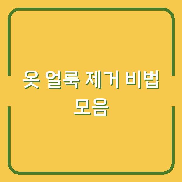 옷 얼룩 제거 비법 모음