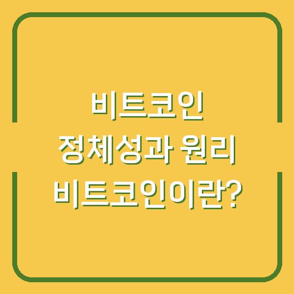 비트코인 정체성과 원리 비트코인이란?