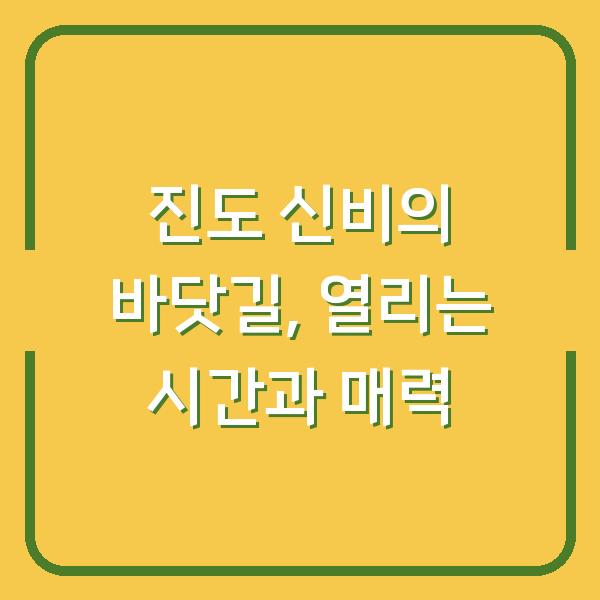 진도 신비의 바닷길, 열리는 시간과 매력