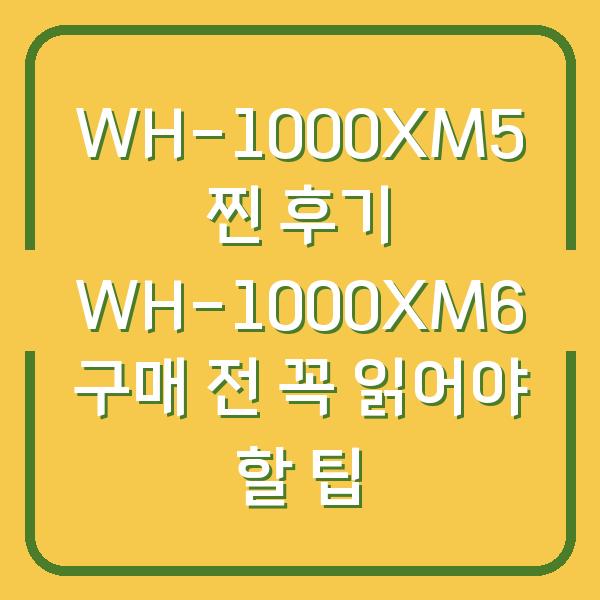 WH-1000XM5 찐 후기 WH-1000XM6 구매 전 꼭 읽어야 할 팁