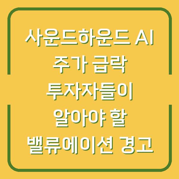 사운드하운드 AI 주가 급락 투자자들이 알아야 할 밸류에이션 경고