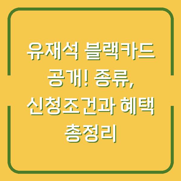 유재석 블랙카드 공개! 종류, 신청조건과 혜택 총정리