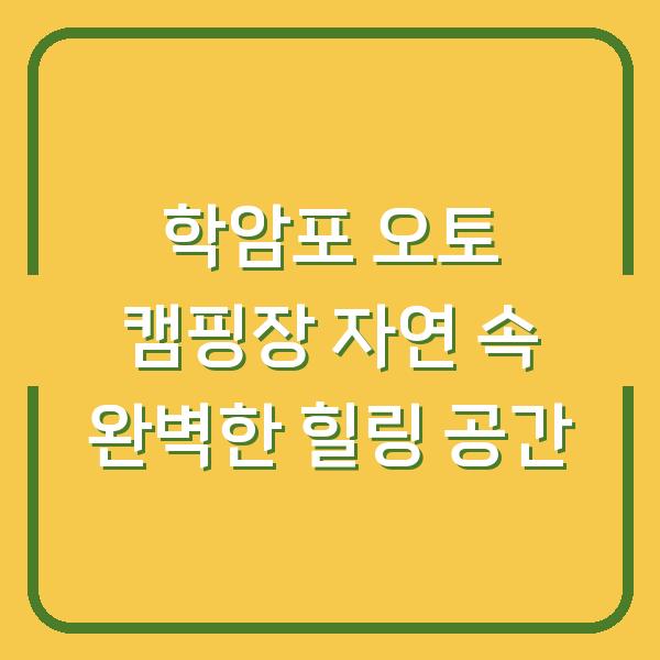 학암포 오토 캠핑장 자연 속 완벽한 힐링 공간