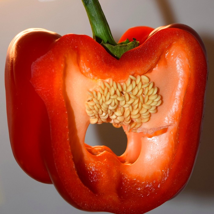 푸쉬업 동작