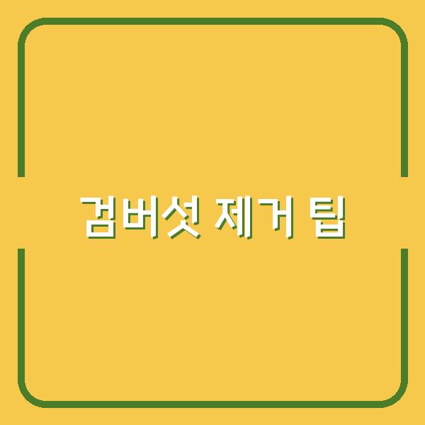 검버섯 제거 팁