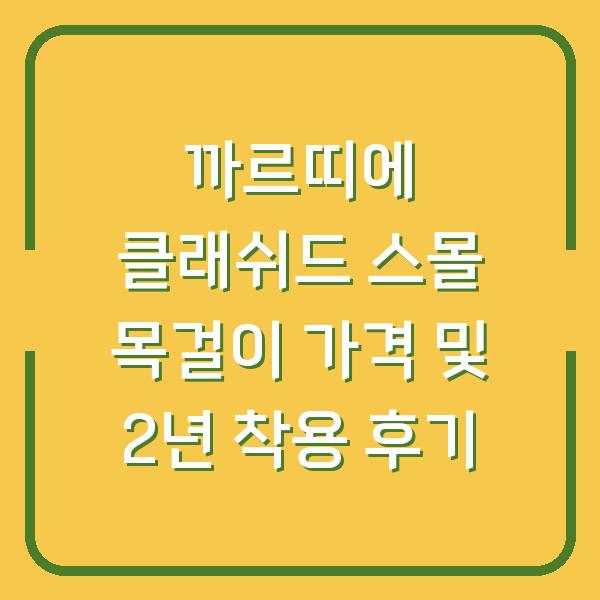 까르띠에 클래쉬드 스몰 목걸이 가격 및 2년 착용 후기