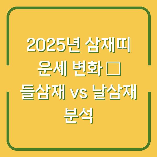2025년 삼재띠 운세 변화 – 들삼재 vs 날삼재 분석